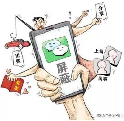 一幅展示软文成功案例的动态图表，描绘了流量增长曲线和读者互动路径
