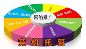 一个展示SEM竞价关键词优化策略的流程图