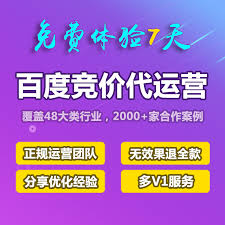 展示百度竞价和SEO流量对比的柱状图